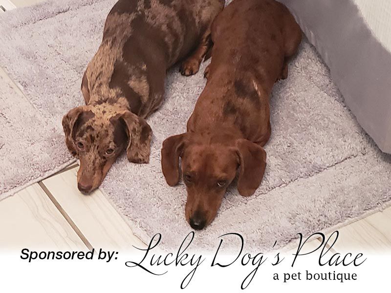 Sammi & Remi